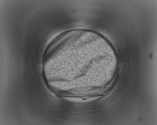 X0000094201415200711241627