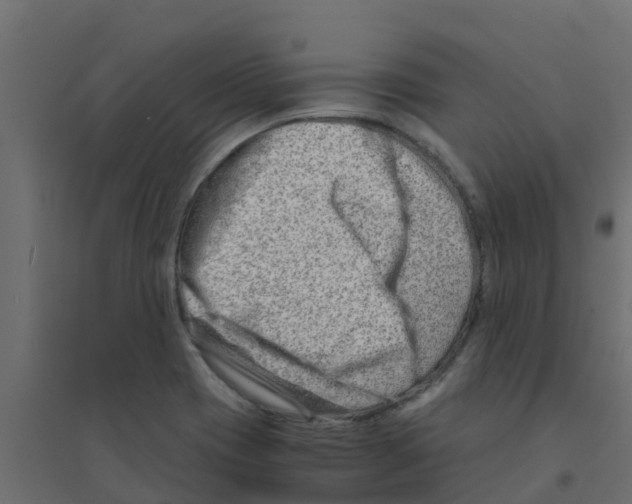 X0000094201417200711241627