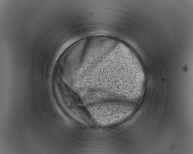 X0000094201418200711241627