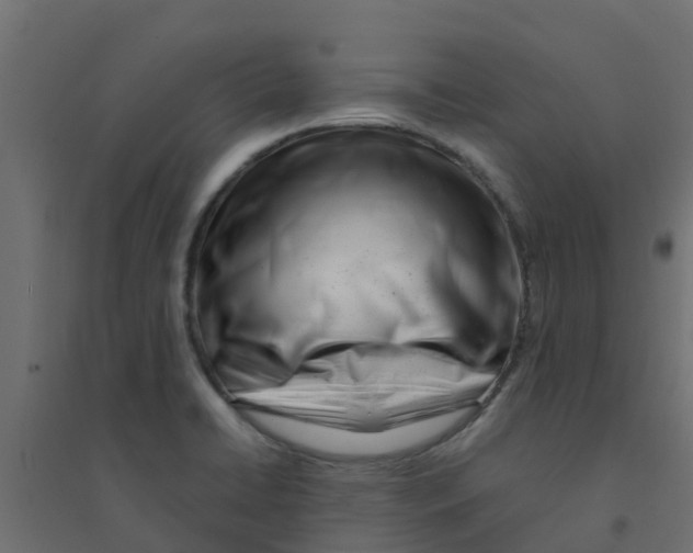 X0000094201422200711241627