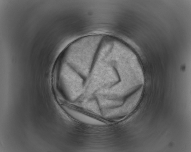 X0000094201423200711241627