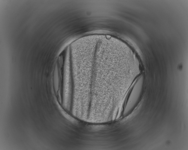 X0000094201425200711241627