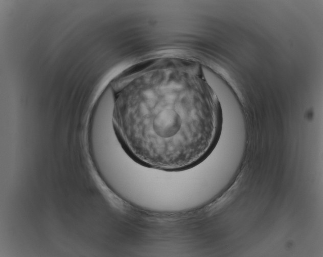 X0000094201426200711241627