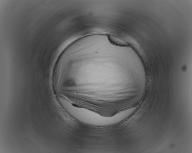 X0000094201427200711241627