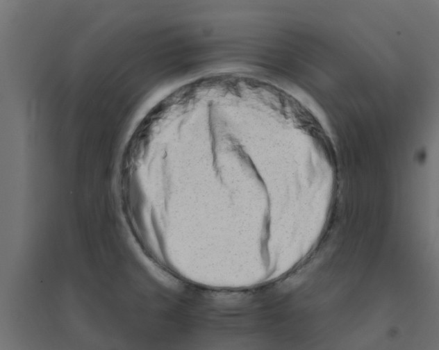 X0000094201429200711241627