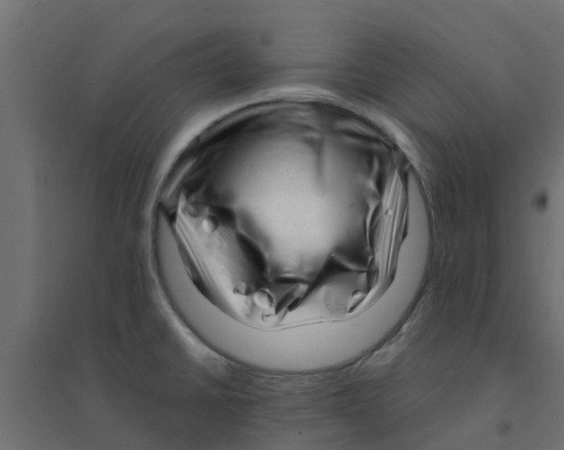 X0000094201430200711241627