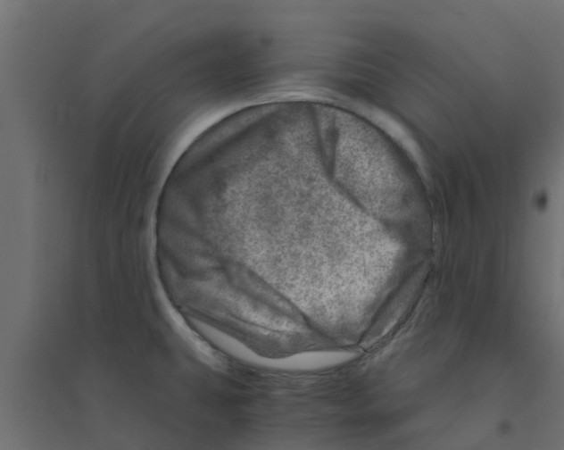 X0000094201431200711241627