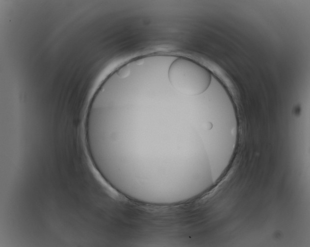 X0000094201432200711241627