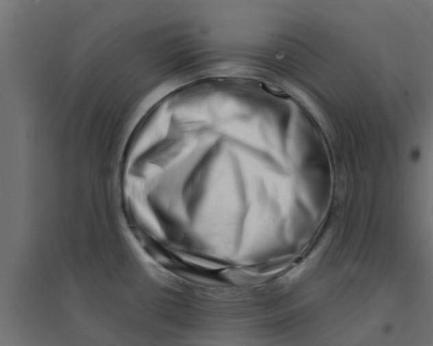 X0000094201434200711241627