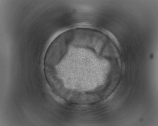 X0000094201435200711241627