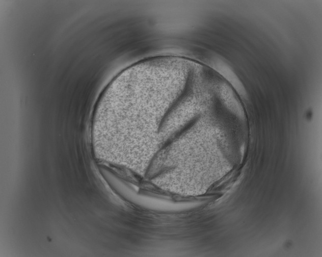 X0000094201436200711241627