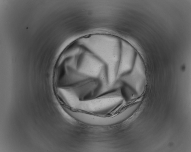 X0000094201438200711241627