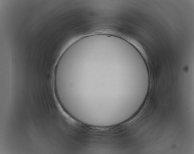 X0000094201439200711241627