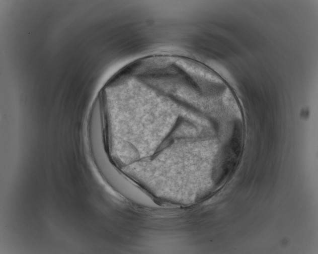 X0000094201440200711241627