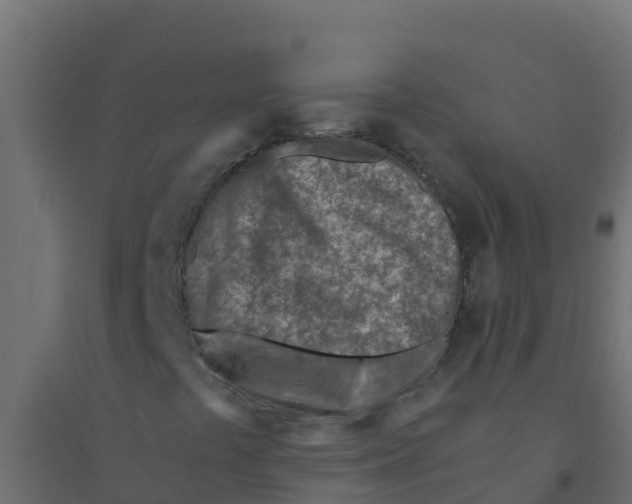 X0000094201441200711241627