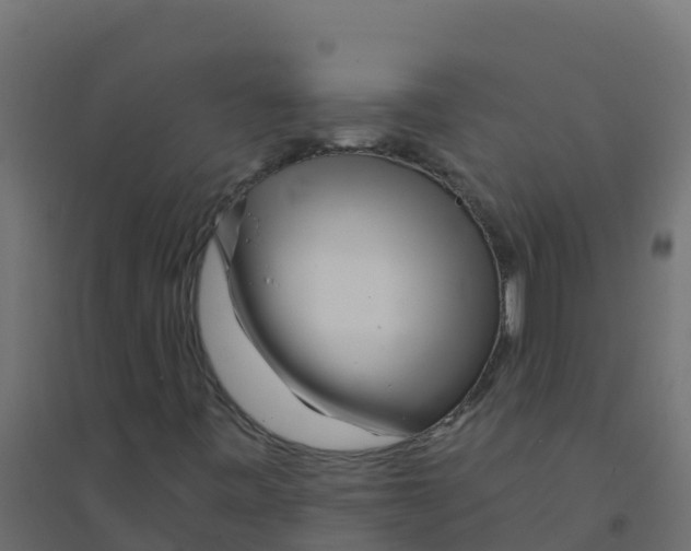 X0000094201443200711241627