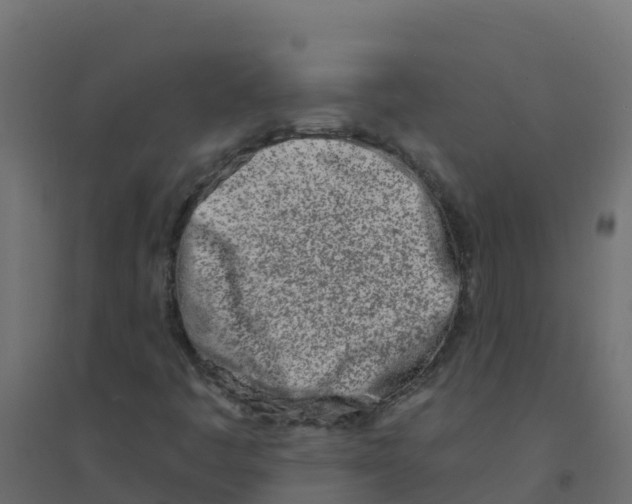 X0000094201445200711241627