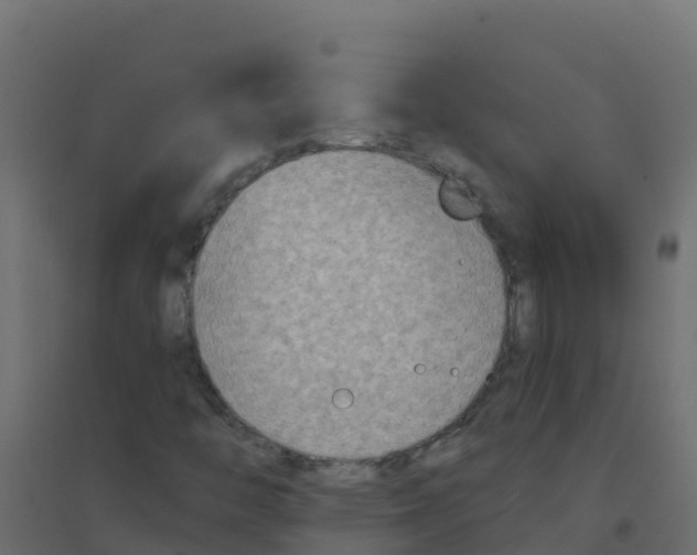 X0000094201446200711241627