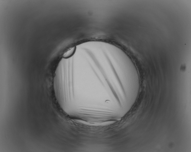 X0000094201447200711241627