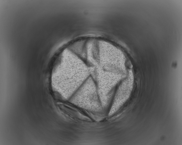 X0000094201448200711241626