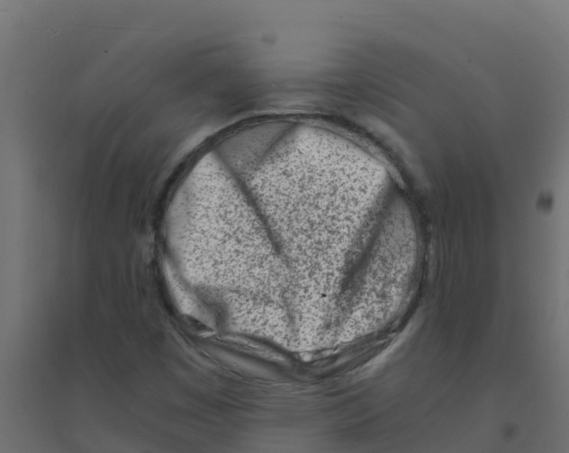 X0000094201449200711241626