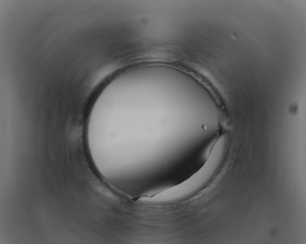 X0000094201450200711241626