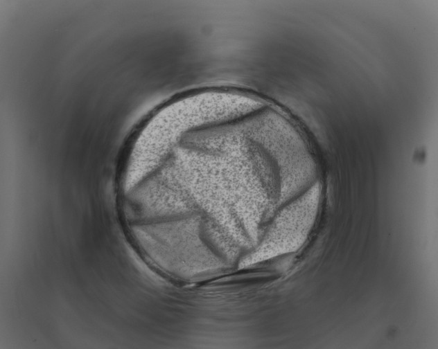 X0000094201452200711241626