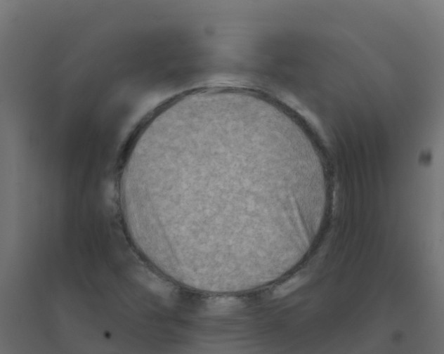 X0000094201454200711241626