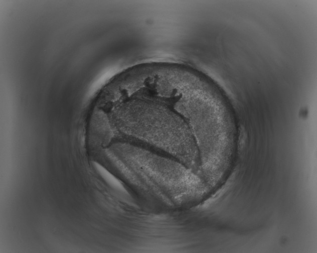 X0000094201455200711241626