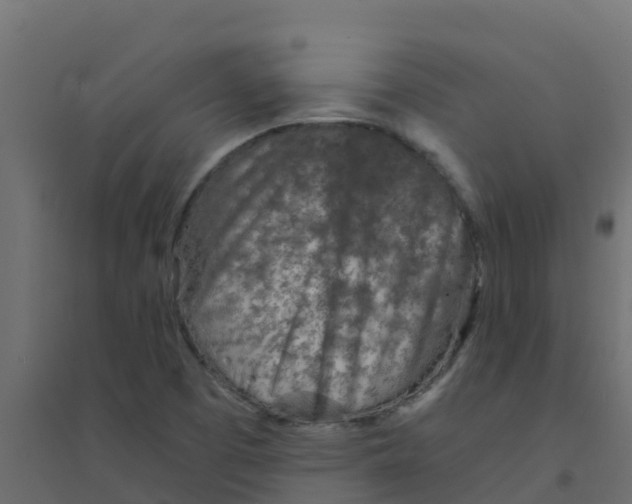 X0000094201457200711241626