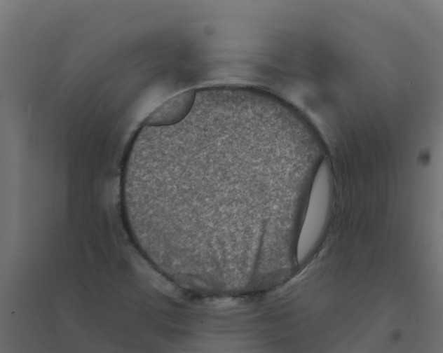 X0000094201459200711241626