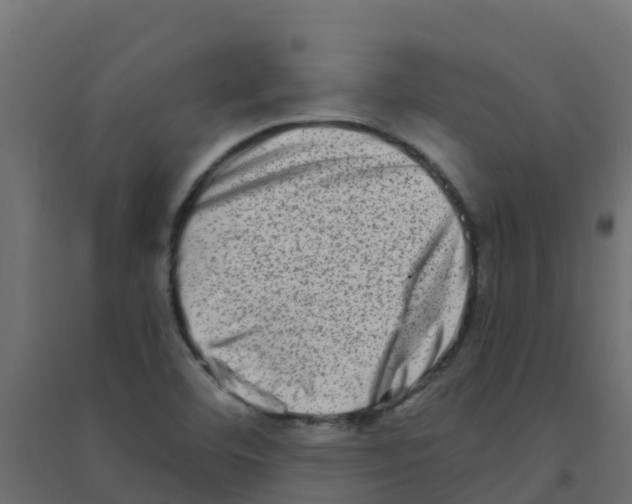 X0000094201460200711241626