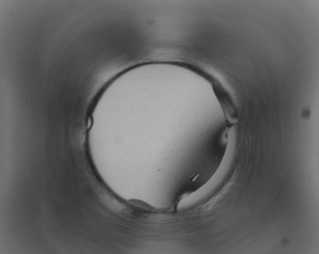 X0000094201461200711241626