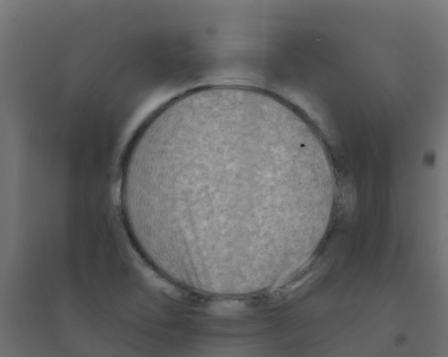 X0000094201462200711241626