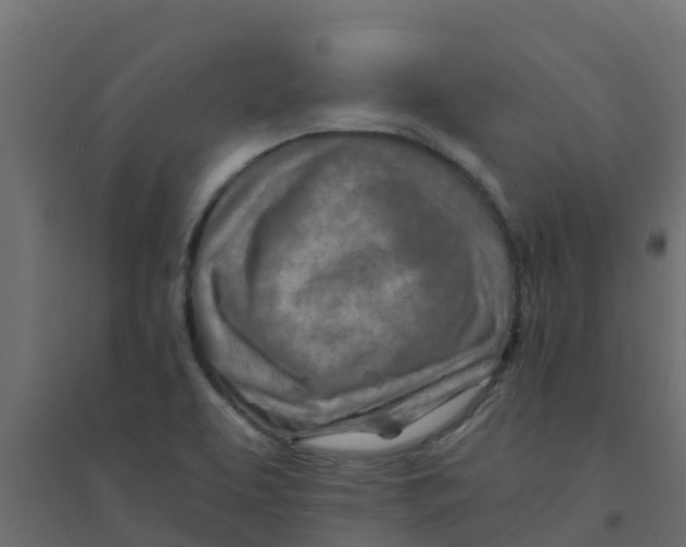 X0000094201463200711241626