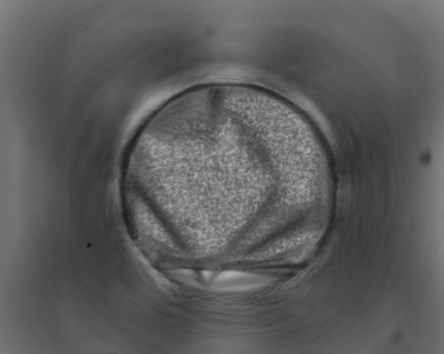 X0000094201464200711241626