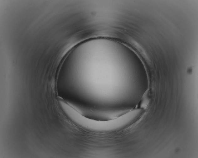 X0000094201465200711241626