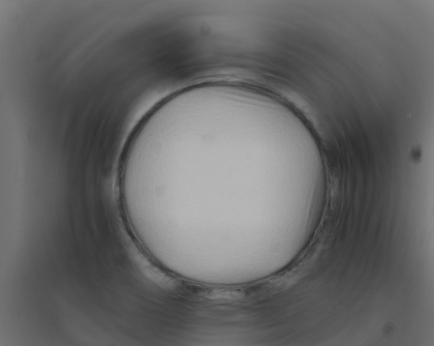 X0000094201466200711241626