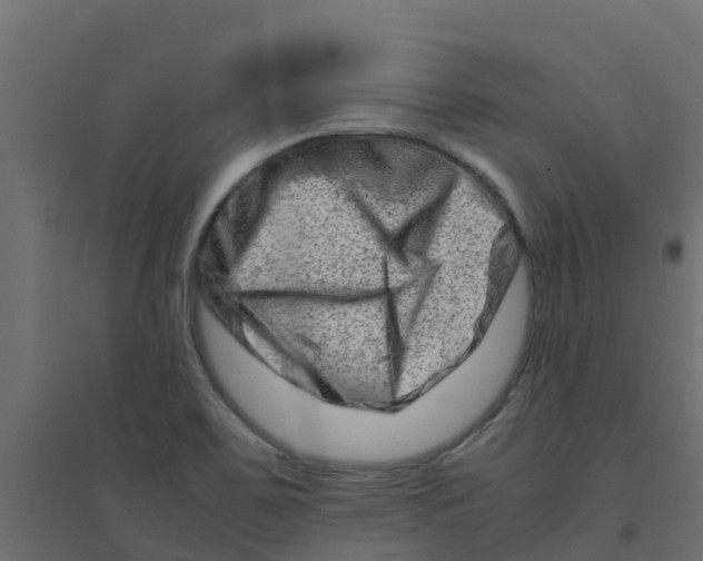 X0000094201467200711241626