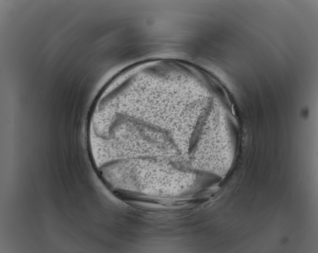 X0000094201468200711241626