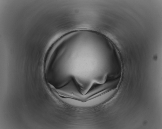 X0000094201469200711241626