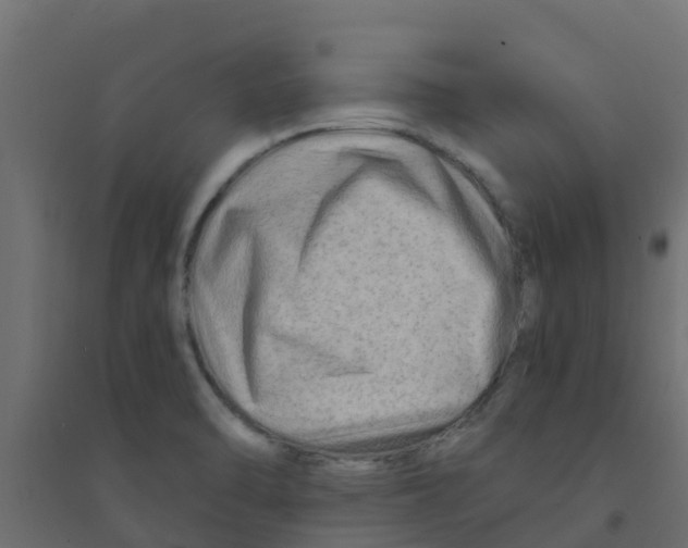 X0000094201470200711241626