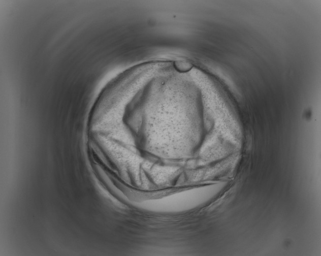 X0000094201471200711241626