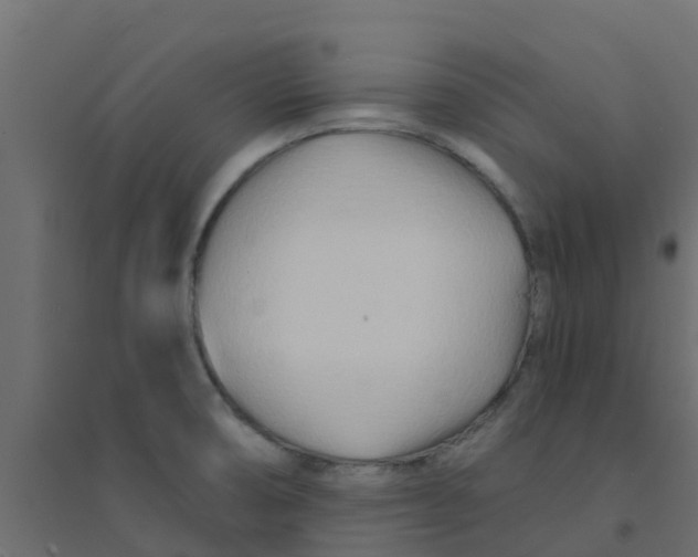 X0000094201474200711241626