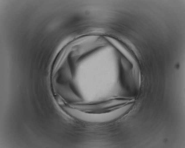 X0000094201475200711241626