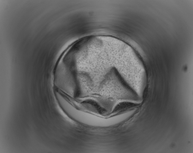 X0000094201476200711241626