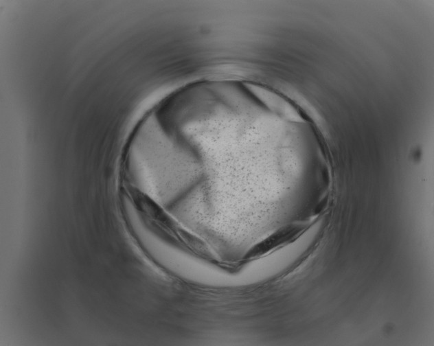 X0000094201477200711241626