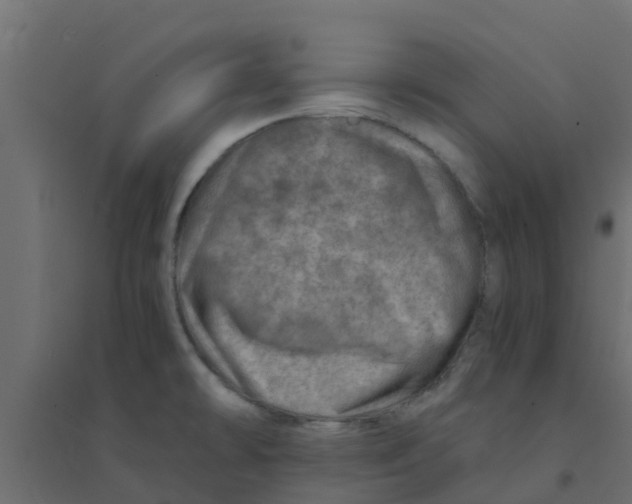 X0000094201478200711241626