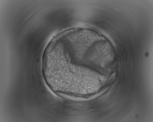 X0000094201479200711241626