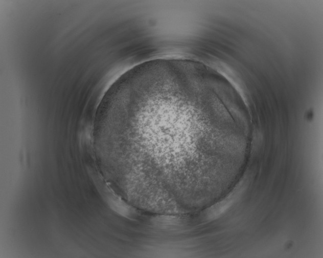 X0000094201481200711241626